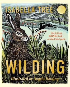 Wilding : How To Bring Wildlife back – An Illustrated Guide – Isabella Tree, Illustrated by Angela Harding