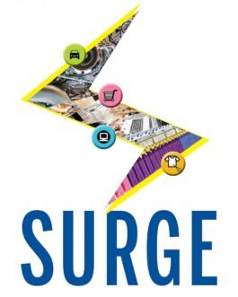 Surge : Tamil Nadu’s growth story – Sushila Ravindranath