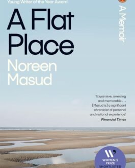 A Flat Place – Noreen Masud