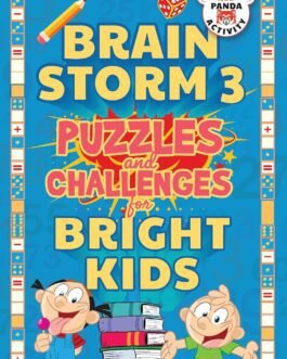 Brain Storm 3 : Puzzles and Challenges for Bright Kids