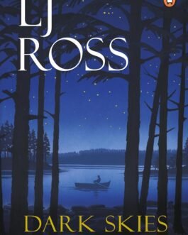 Dark Skies : The DCI Ryan Mysteries – LJ Ross (Book 7)