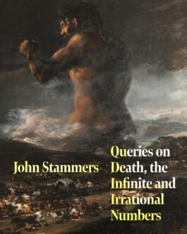 Queries on Death, the Infinite and Irrational Numbers – John Stammers