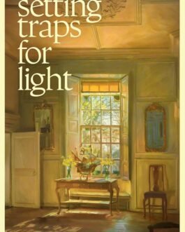 Setting traps for light – Giti Chandra