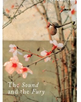 The Sound and the Fury – William Faulkner