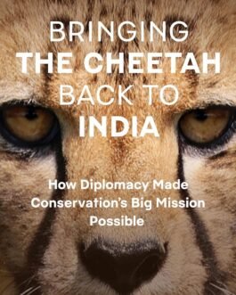 Bringing The Cheetah Back to India – Prashant Agrawal