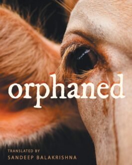 Orphaned – S.L. Bhyrappa and Translated by Sandeep Balakrishna