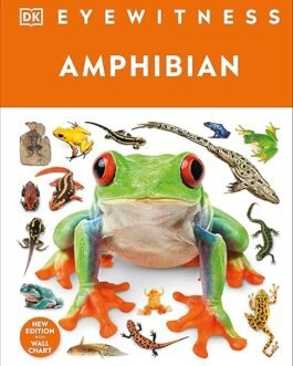 Eyewitness Amphibian