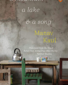 A Mountain a Lake & a Song – Manav Kaul,  Vaibhav Sharma (Translator)