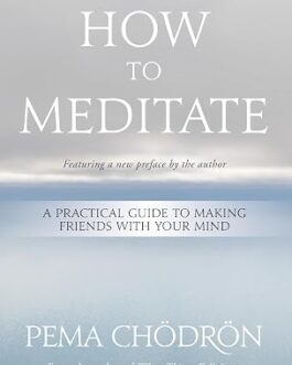 How to Meditate – Pema Chodron
