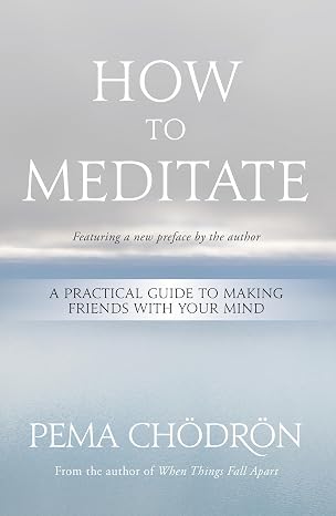 How to Meditate - Pema Chodron