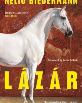 Lazar – Nelio Biedermann