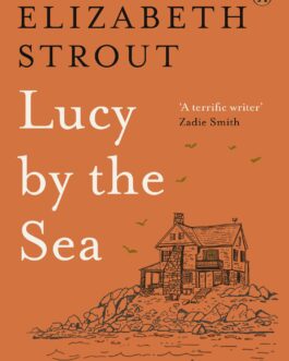 Lucy by The Sea – Elizabeth Strout