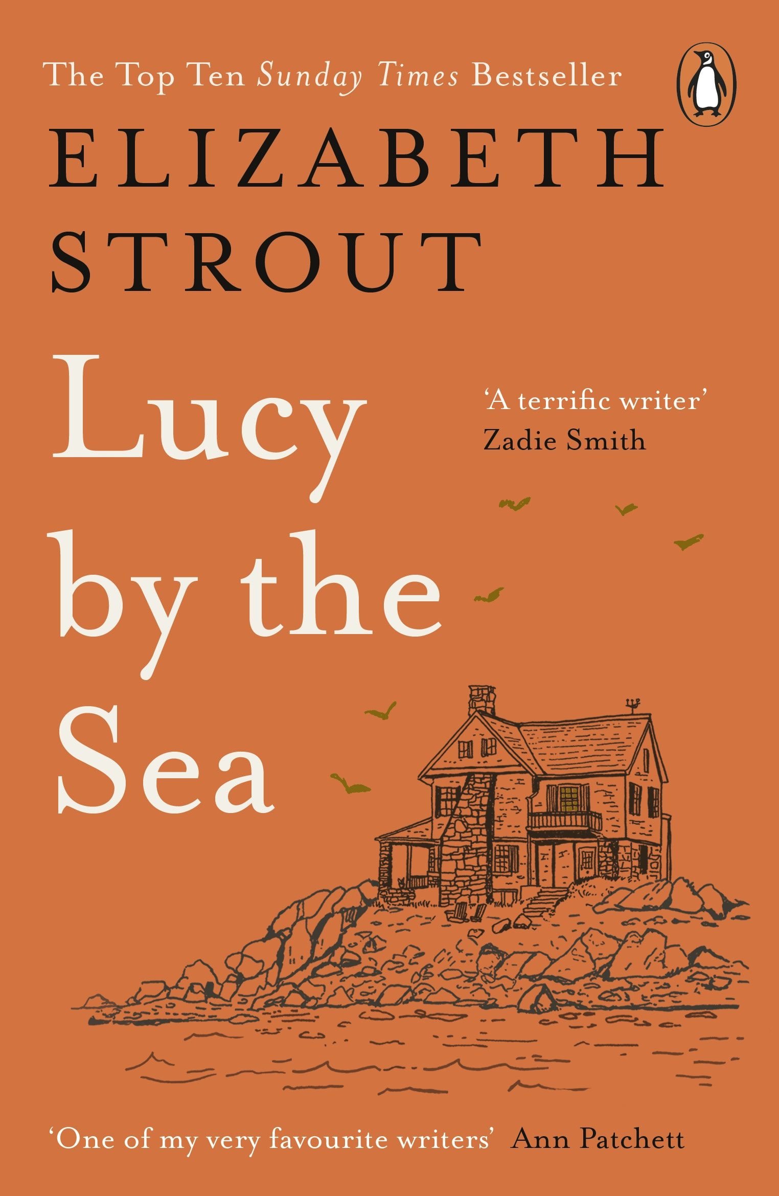 Lucy by The Sea - Elizabeth Strout