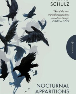 Nocturnal Apparitions – Bruno Schulz