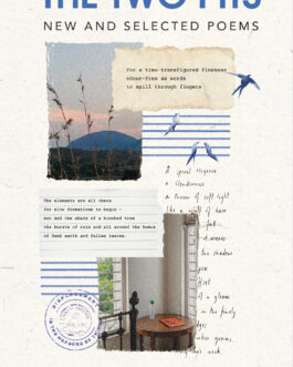 The Two Pits : New and Selected Poems – Siddharth Menon