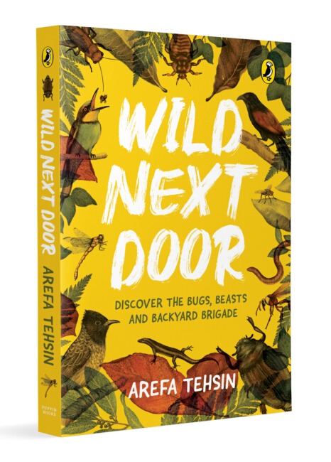 Wild Next Door : Discover the Bugs, Beasts And Backyard Brigade - Arefa Tehsin