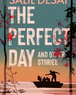 The Perfect Days and Other Stories – Salil Desai