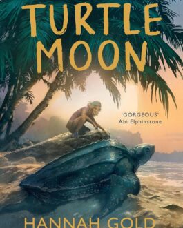 Turtle Moon – Hannah Gold