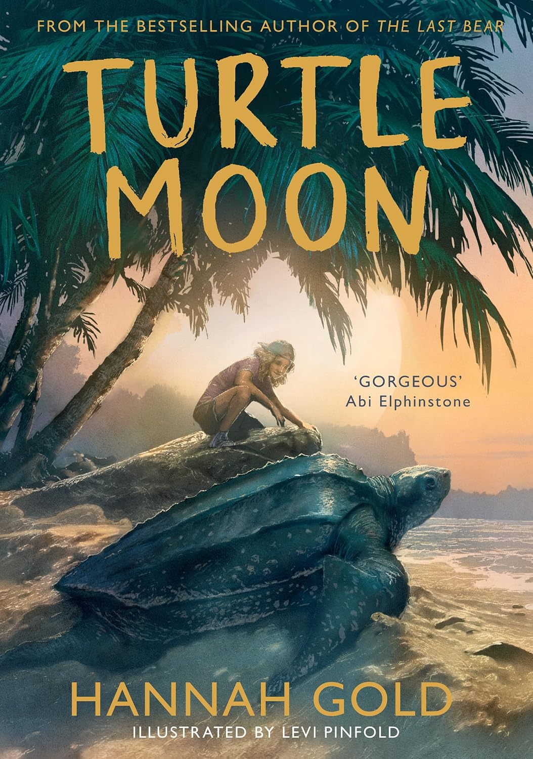 Turtle Moon - Hannah Gold