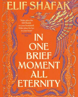 In One Brief Moment All Eternity – Elif Shafak