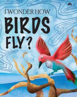 I Wonder How Birds Fly?